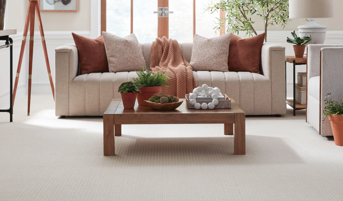Beautiful area rug in light room