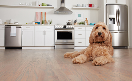 best flooring for pets