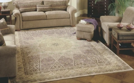 Area Rugs room scene.